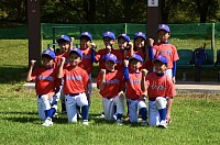 HBCドラゴンキッズ　ティーボール　新潟市　学童野球　少年野球